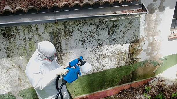 Top rated local Commercial Mold Remediation specialists in Diggs, VA